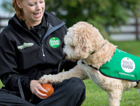 Dogs For Good Image